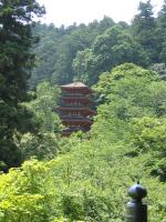 奈良の長谷寺に行ってきました。
